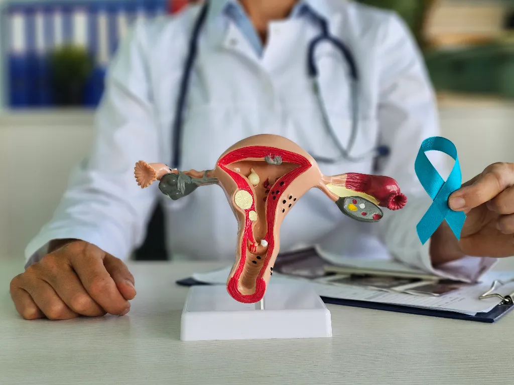 Understanding Disease Spread