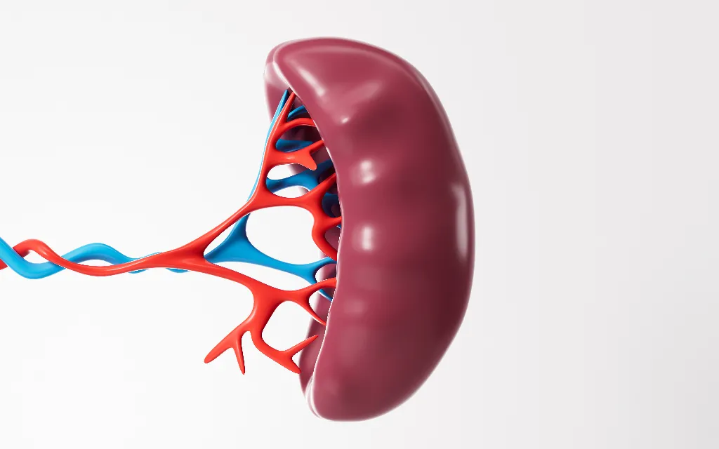 Spleen Surgery